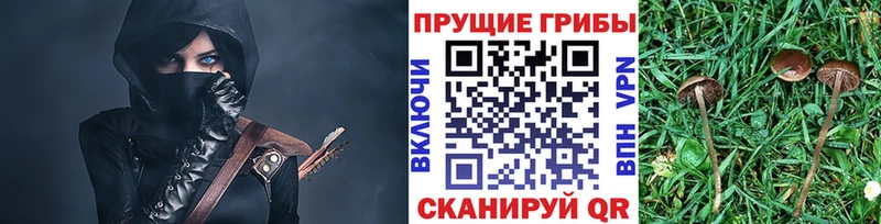 Купить закладки  Североуральск  Псилоцибиновые грибы Magic Shrooms 